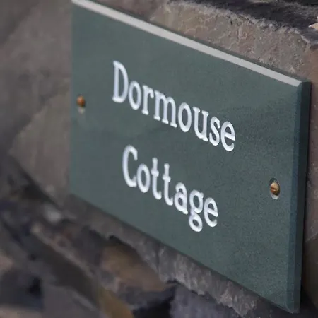 Dormouse 코니스턴